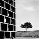 Illustration for article titled The History of Architectural Photography Told In 16 Stunning Images
